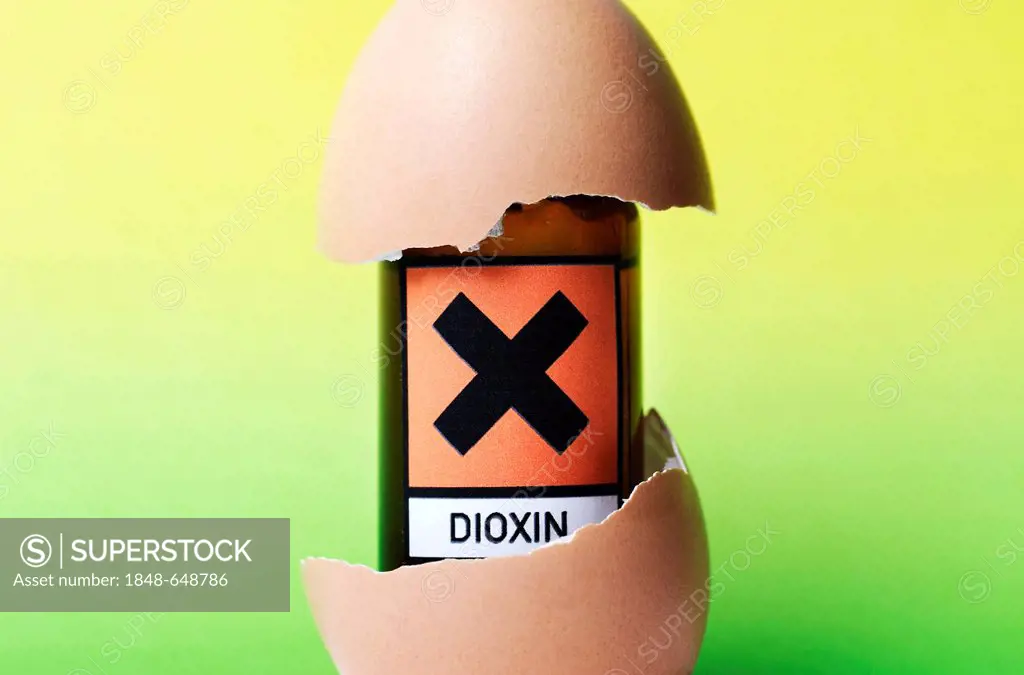 Small bottle labelled with a hazard symbol and a lettering Dioxin in an egg shell, symbolic image, chicken eggs contaminated with dioxin