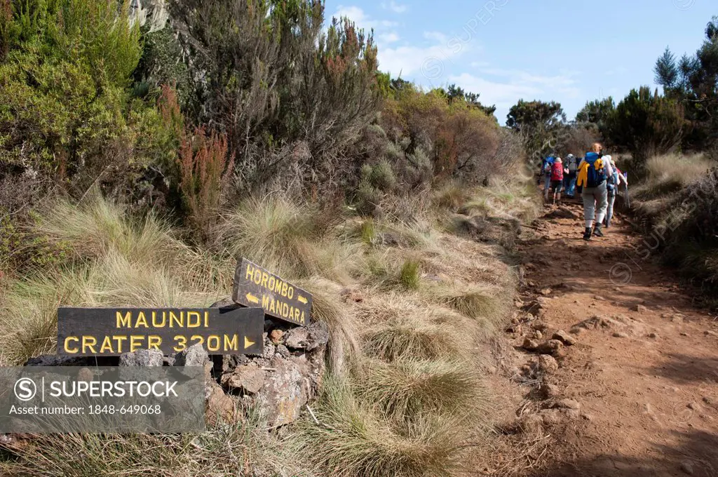 Trekking, sign for Maundi Crater, tourists on trekking route, Mandara Hut, Marangu Route, Kilimanjaro Massif, Tanzania, East Africa, Africa