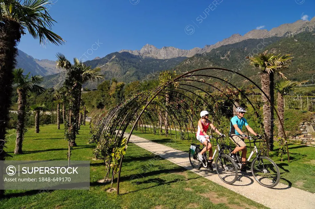 View of Merano as seen from Algund, couple riding electric bicycles, province of Bolzano-Bozen, Italy, Europe