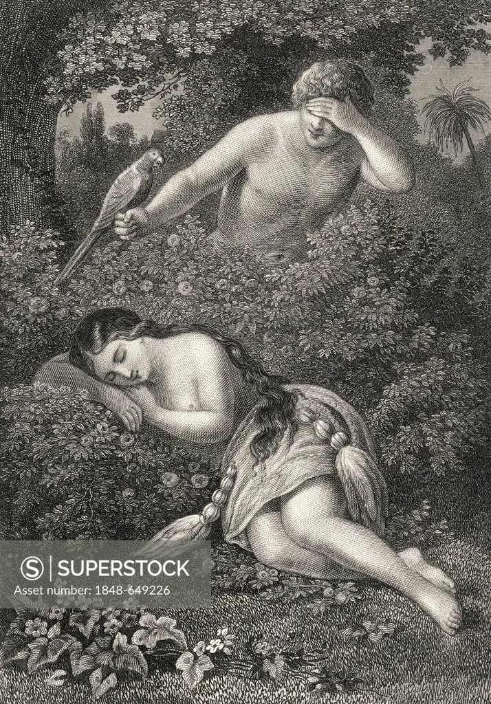 Historic steel engraving by Johann Baptist Wilhelm Adolf Sonderland, 1805 - 1878, a German illustrator, Lovers in paradise or in the Jungle, Koxkox an...