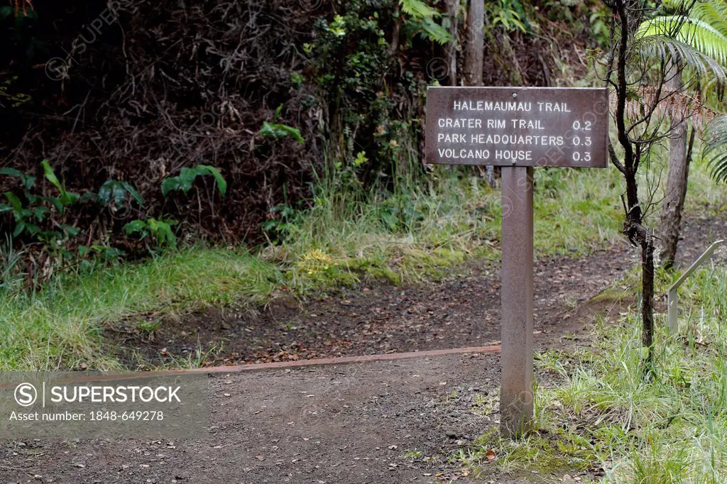 The Halemaumau Trail Into the Volcano, down into the caldera, Kilauea Volcano, Hawaii Volcanoes National Park, Big Island, Hawaii, USA