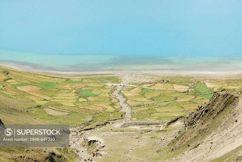 Fields on Yamdrok Lake, Tibet, China, Asia
