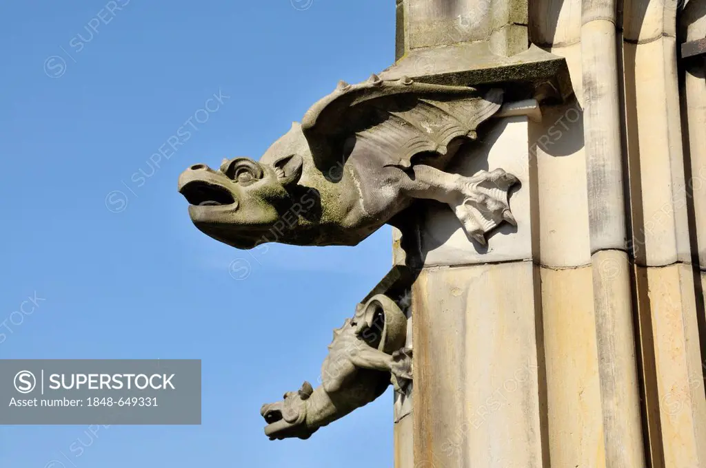 Gargoyle on a buttress, Ulmer Muenster, Ulm Minster, church, Ulm, Baden-Wuerttemberg, Germany, Europe