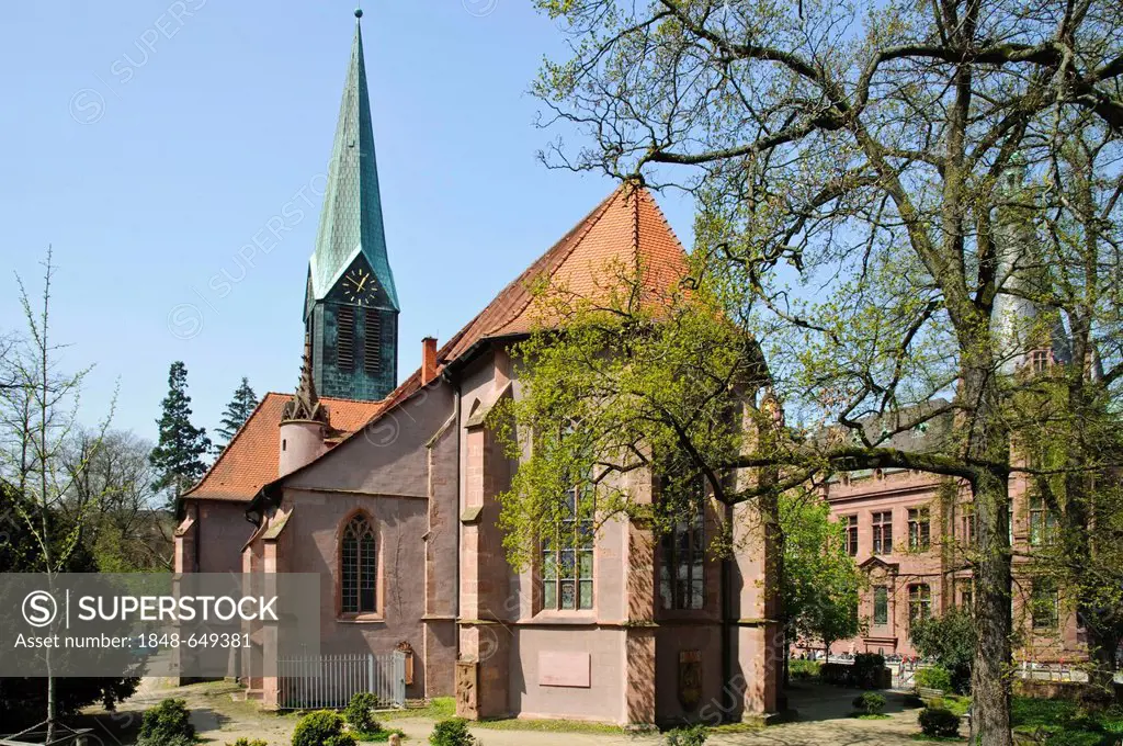 Peterskirche church, university library, old town, Heidelberg, Baden-Wuerttemberg, Germany, Europe