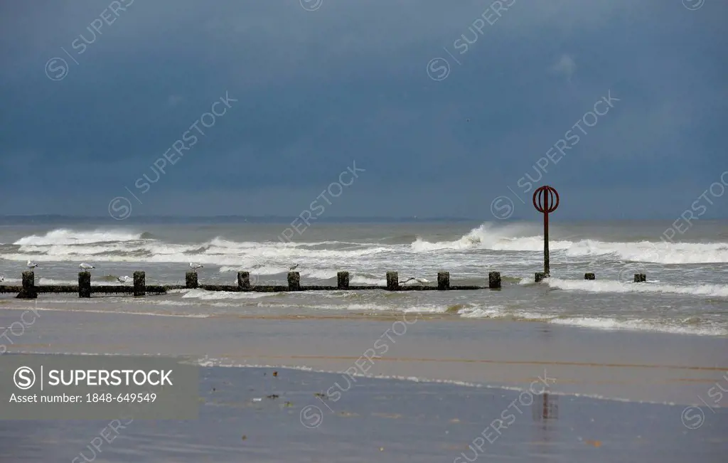 Stormy weather, a stormy sea hitting groynes, breakwaters, beach, Aberdeen, Scotland, United Kingdom, Europe