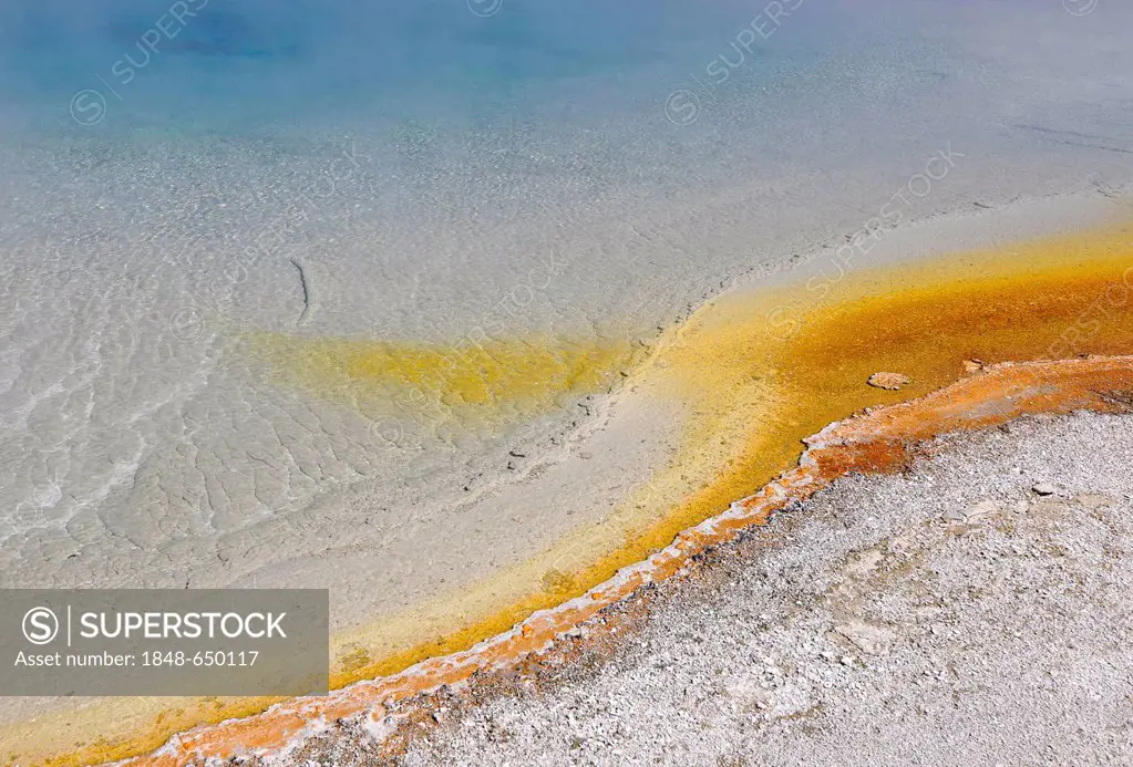 Sunset Lake, geyser, outlet area, colourful thermophilic bacteria, microorganisms, Black Sand Basin, Upper Geyser Basin, Yellowstone National Park, Wy...