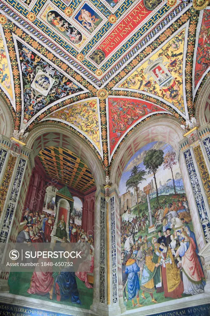 Libreria Piccolomini library with frescoes by Pinturicchio, scenes from the life of Francesco Todeschini Piccolomini, later Pope Pius III., Siena Cath...