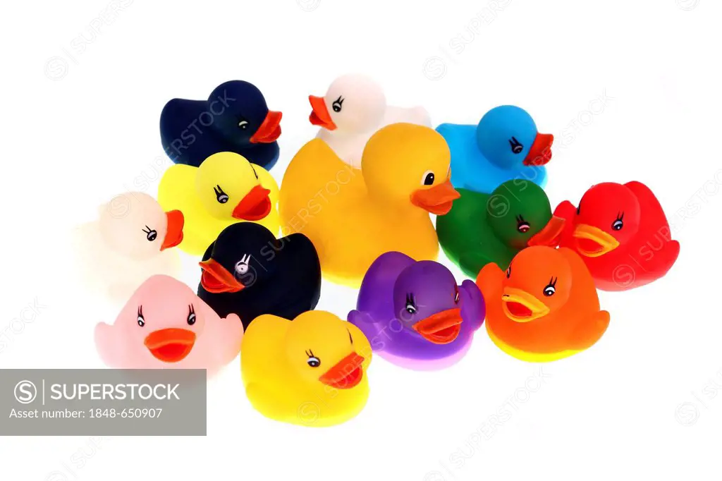Rubber ducks, one large and many small in various colours
