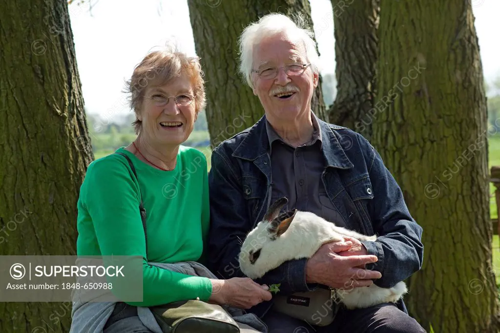 Elderly couple holding a rabbit at a children's farm or zoo, Wilhelmsburg, Hamburg, Germany, Europe