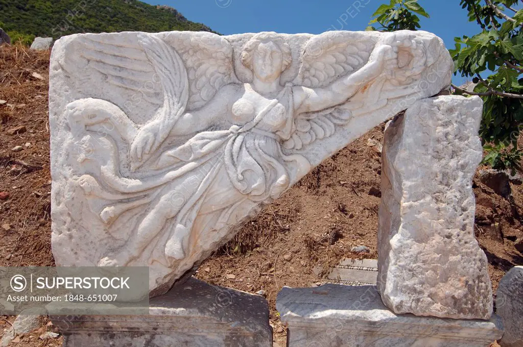 Stone decoration, antique city of Ephesus, Efes, Turkey, Western Asia