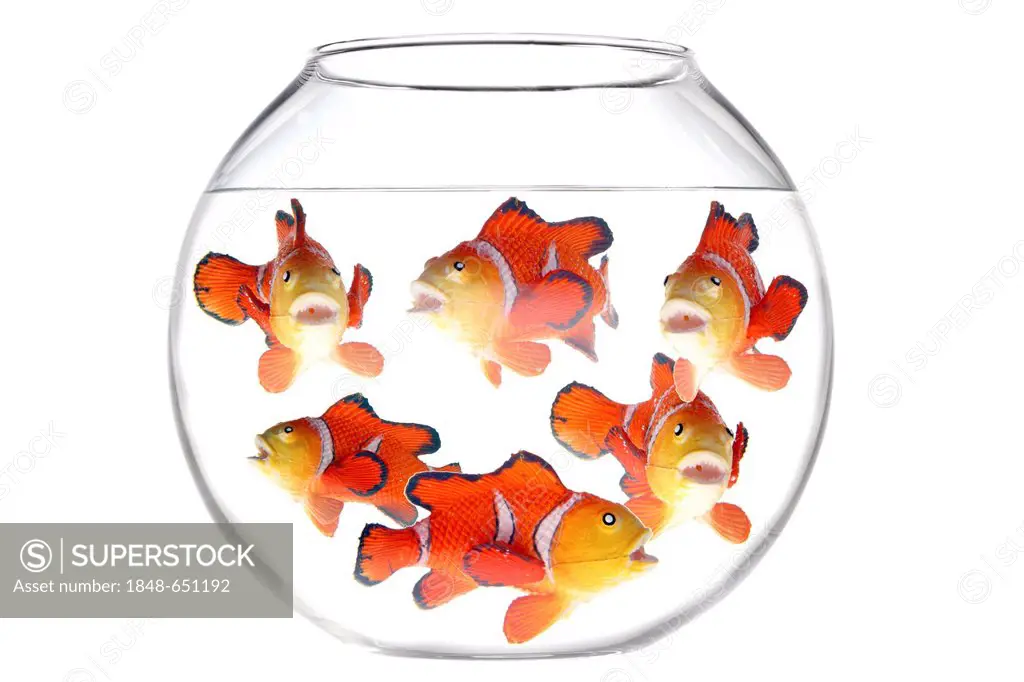Lots of toy fish in a fish bowl, illustration