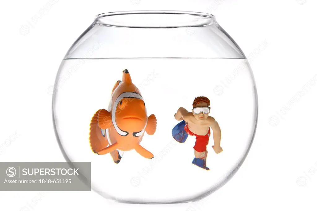 Toy clown fish and a boy swimming with diving goggles and flippers in a fish bowl, illustration