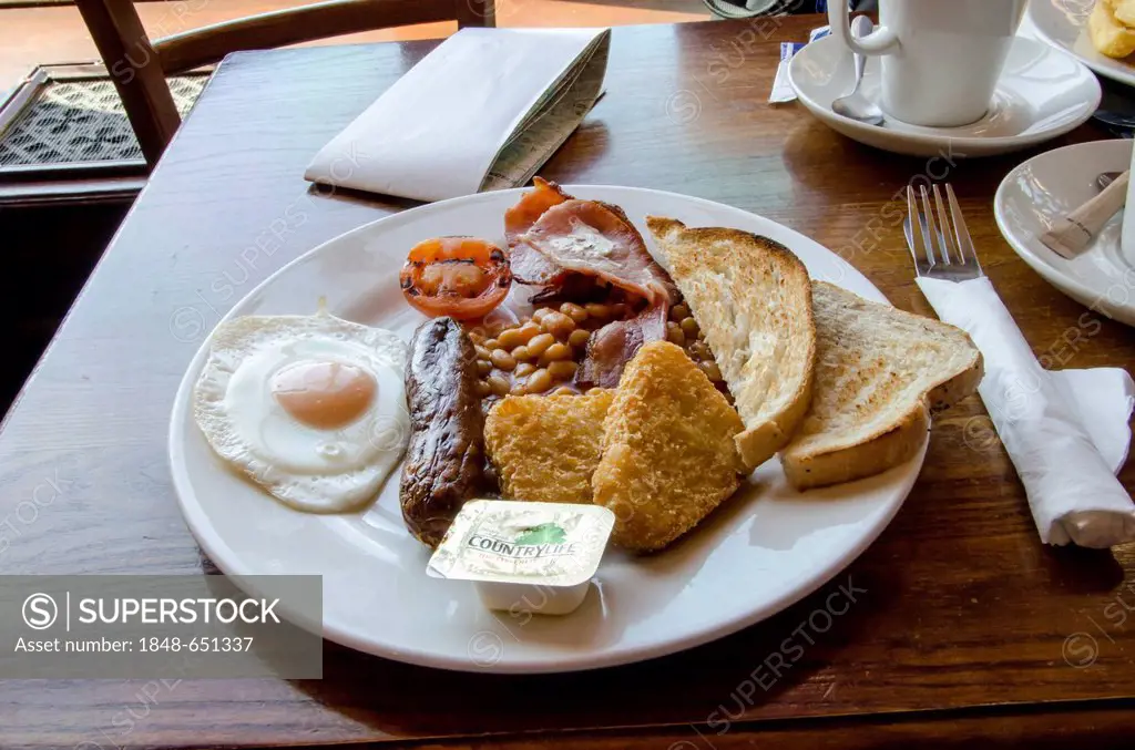 A typical English breakfast, London, Southern England, England, United Kingdom, Europe