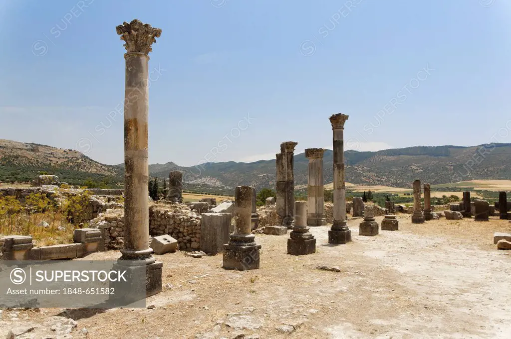 Columns at the Roman excavation site of Volubilis, UNESCO World Heritage Site, Meknes, Meknès-Tafilalet, Morocco, Maghreb, North Africa, Africa