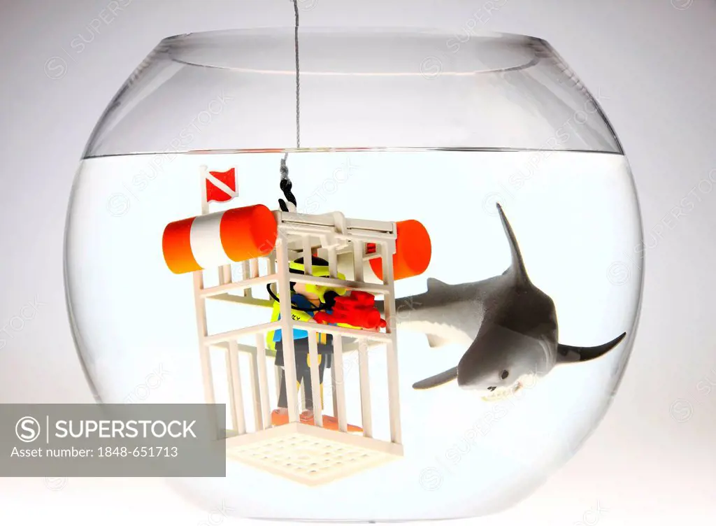 Water toys, scuba diver with an underwater camera in a diving cage next to a shark swimming in a fish bowl, illustration