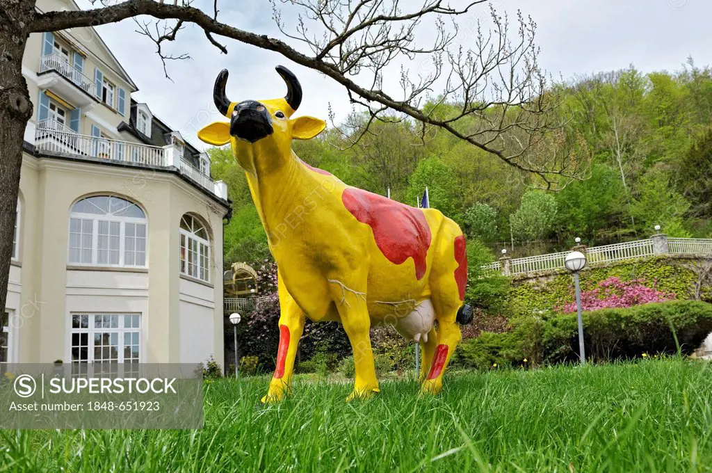 Colourfully painted cow statue in front of the Parkhotel, Schlangenbad, Hesse, Germany, Europe