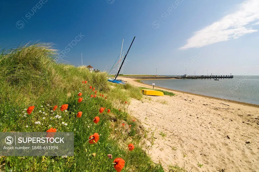 Dunes and beach on Amrum island, North Sea, Schleswig-Holstein, Germany, Europe