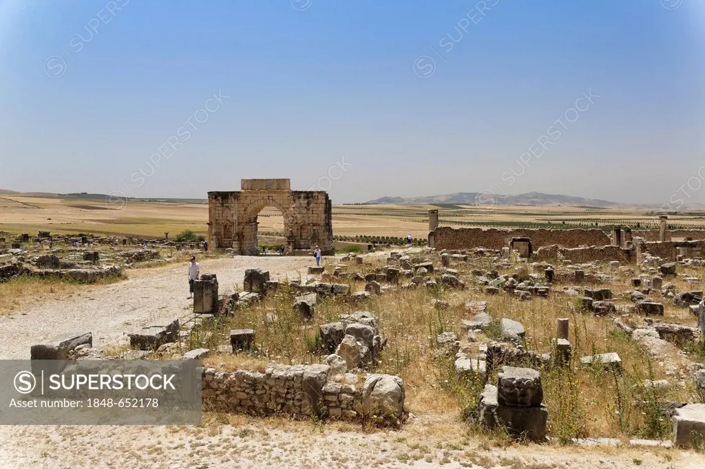 Caracalla Arch, at the Roman archaeological site of Volubilis, UNESCO World Heritage Site, Meknes, Meknès-Tafilalet, Morocco, Maghreb, North Africa, A...