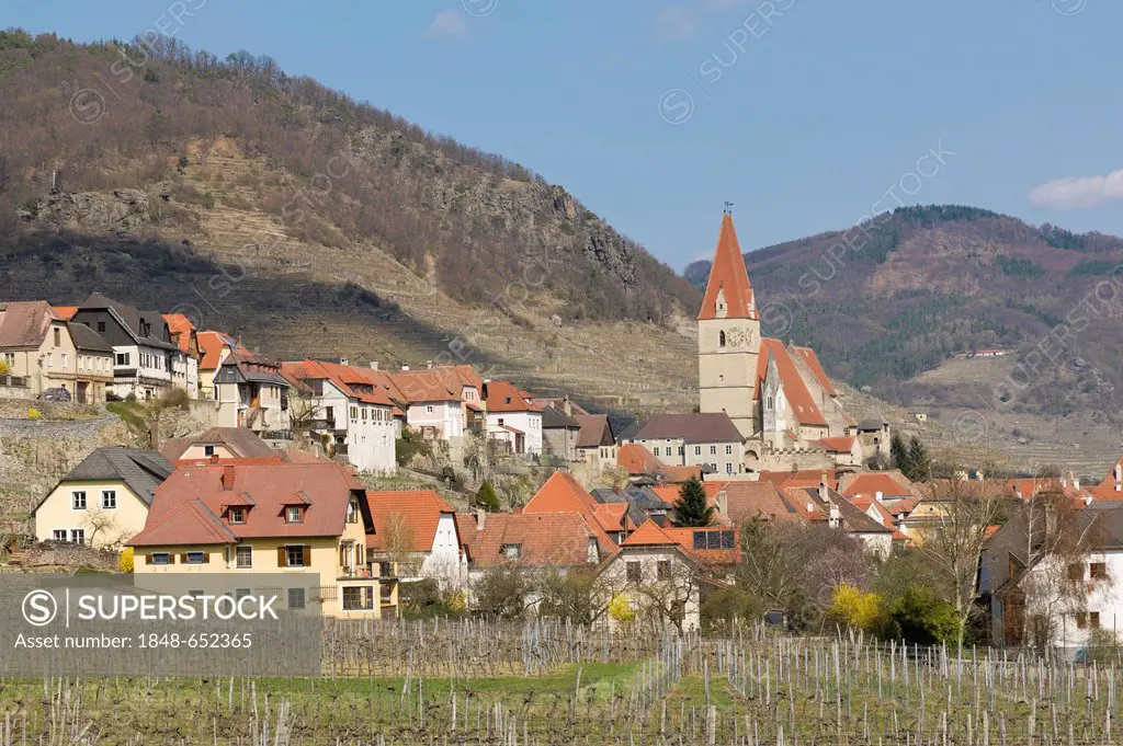 Weissenkirchen, Wachau valley, Lower Austria, Austria, Europe