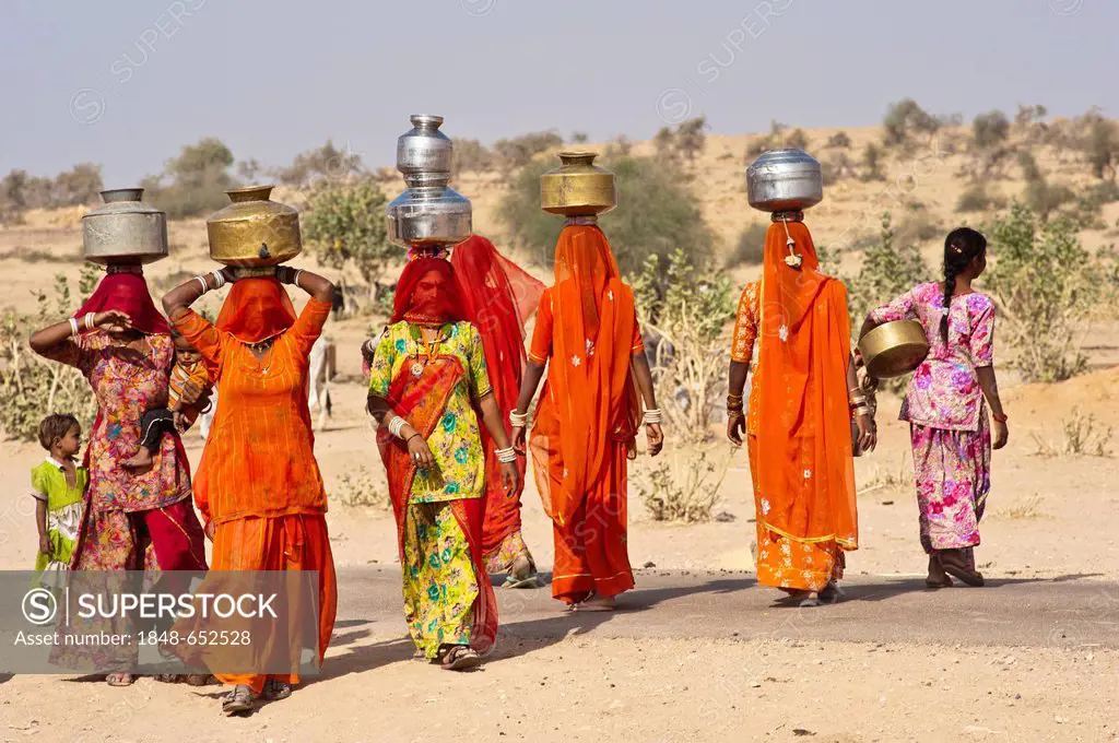 Young veiled Indian women wearing saris, carrying water jugs from the well on their heads, Thar Desert, Rajasthan, India, Asia