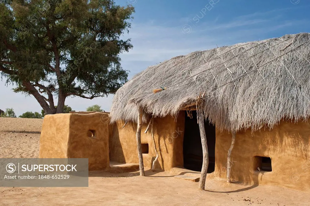 Partial view of a traditional dwelling in the Thar desert, walls and floor are made of a mixture of cow dung and sand, the roof is made of brushwood, ...