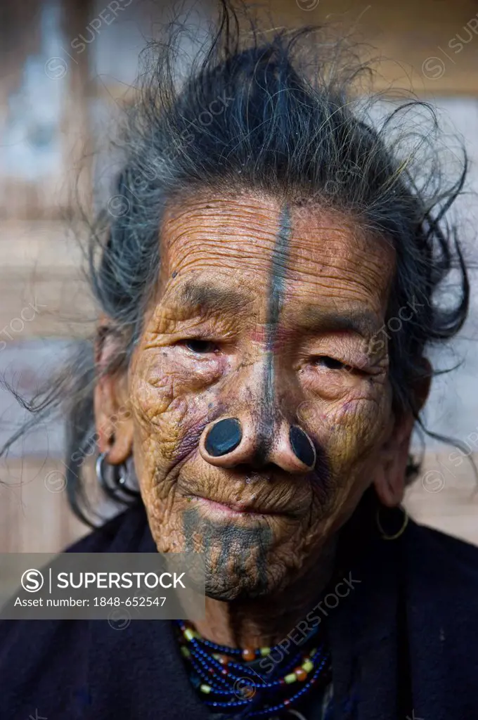 Old woman from the Apatani tribe, known for the pieces of wood in their nose to make them ugly, Ziro, Arunachal Pradesh, northeast India, India, Asia