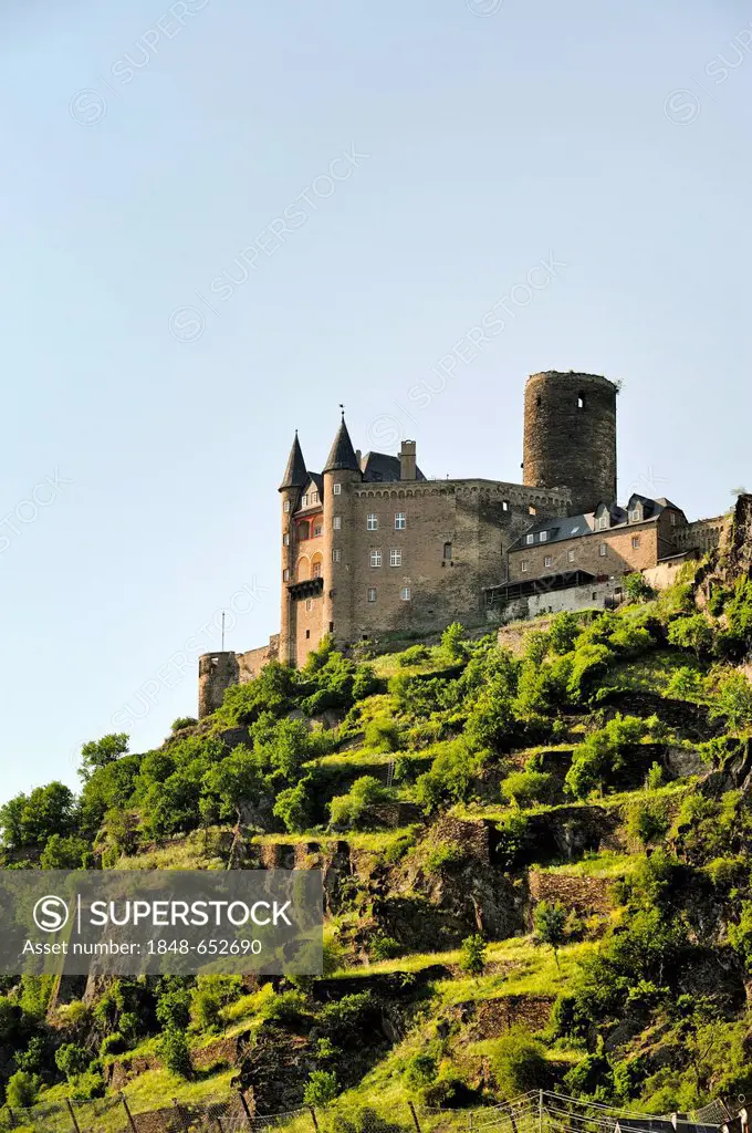 Katz Castle, Sankt Goarshausen, Upper Middle Rhine Valley, a Unesco World Heritage Site, Rhineland-Palatinate, Germany, Europe