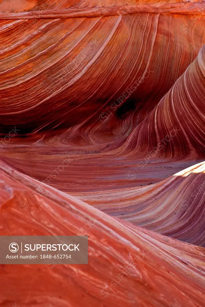 The Wave, Vermillion Cliffs, Utah, USA, America