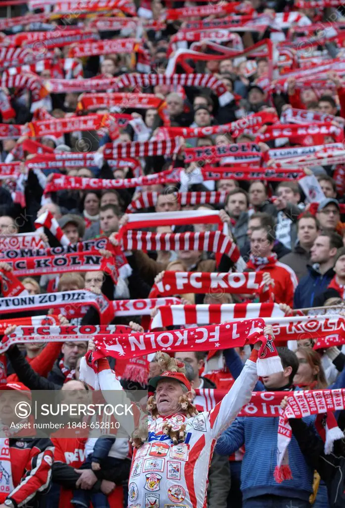 Cologne fans holding up their scarves, Bundesliga federal league, 1. FC Koeln - FSV Mainz 05 4:2, Rhein-Energie-Stadion, Cologne, North Rhine-Westphal...