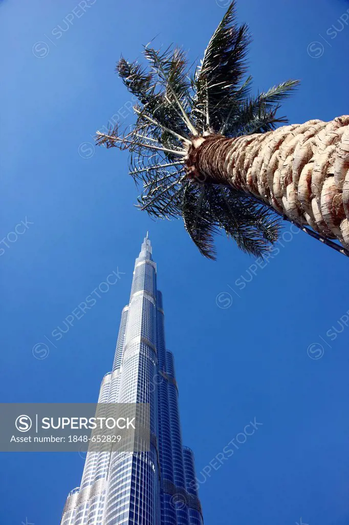 Palm and Burj Khalifa, the tallest building in the world, Dubai, United Arab Emirates, Middle East