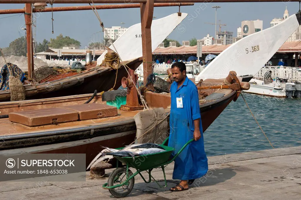 Man transporting fresh fish in a wheelbarrow from the port to the fish market, Sharjah, emirate of Sharjah, United Arab Emirates, Middle East