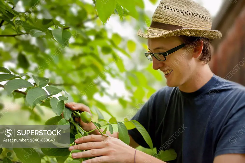 Young man working in the garden discovering a nut