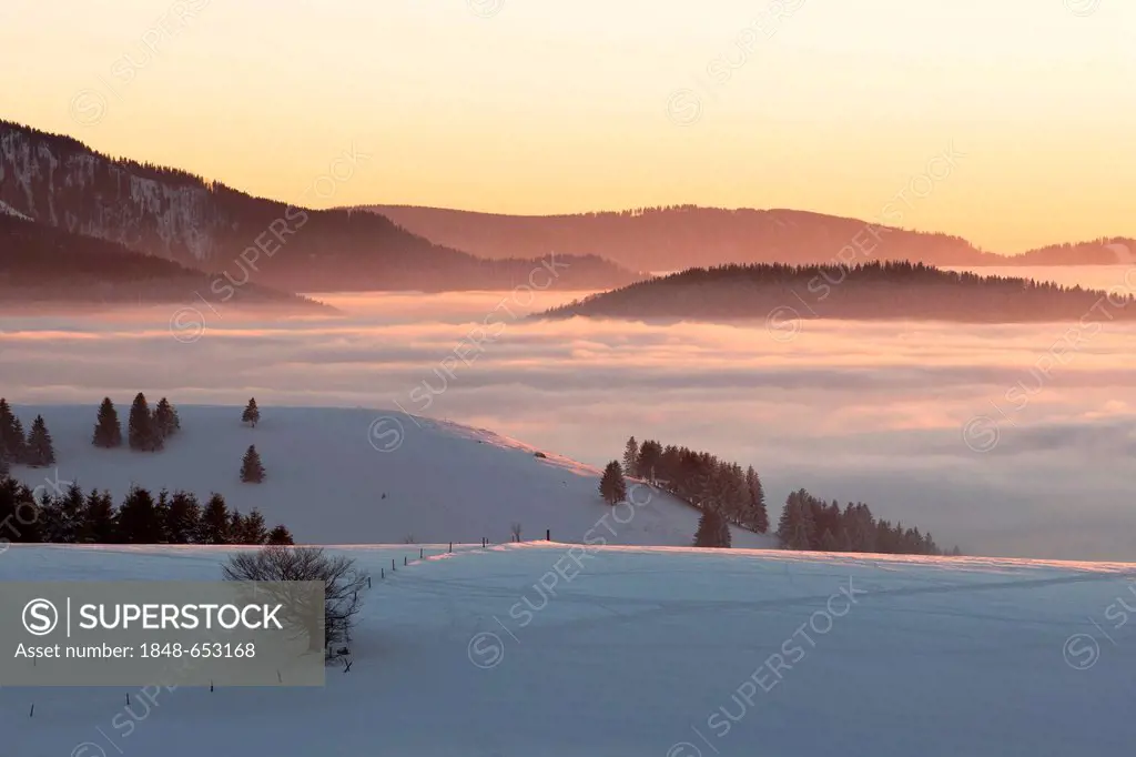 Evening light with high fog on Mt. Schauinsland in the Black Forest, Baden-Wuerttemberg, Germany, Europe