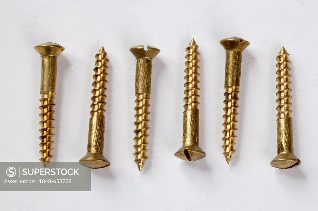 Brazen wood screws, cheese-head screws, slotted-head screws