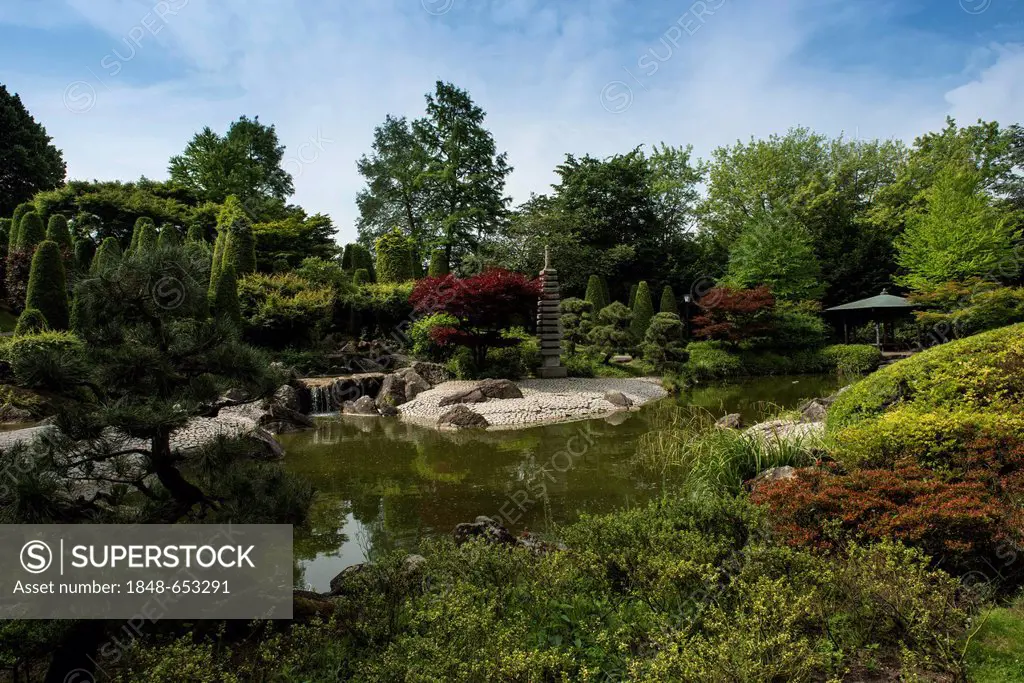 Japanese Garden, Rheinaue leisure park, Bonn, North Rhine-Westphalia, Germany, Europe
