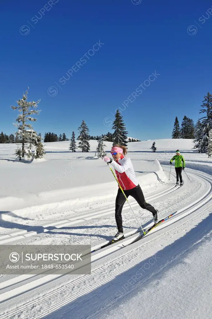 Evi Sachenbacher-Stehle cross-country skiing, Hemmersuppenalm alp, Reit im Winkl, Chiemgau, Bavaria, Germany, Europe
