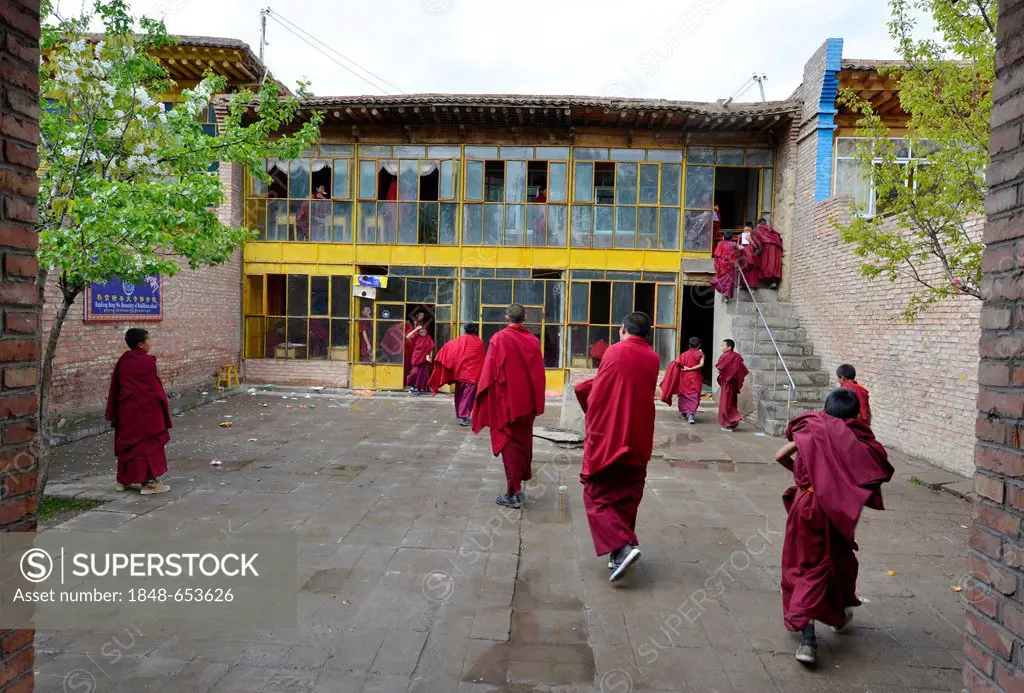 Young novice monks, students at a Buddhist monastery school, monastery building in the traditional architectural style, Tongren Monastery, Repkong, Qi...