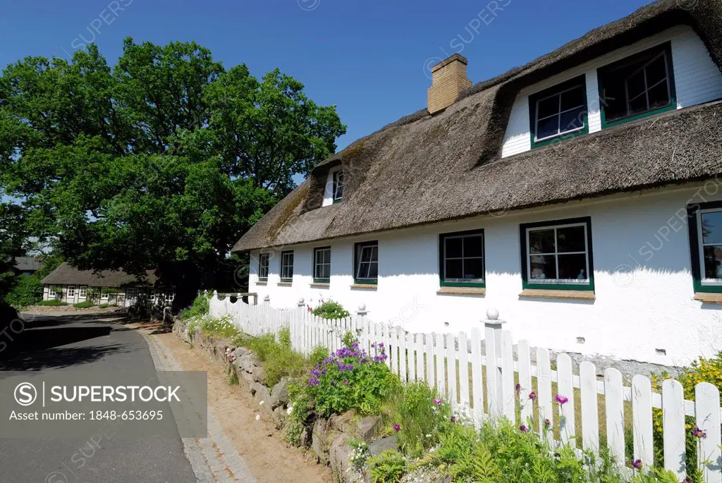 A rural idyll, thatched cottages, thatched houses, Rendsburg-Eckernfoerde district, Schleswig-Holstein, Germany, Europe