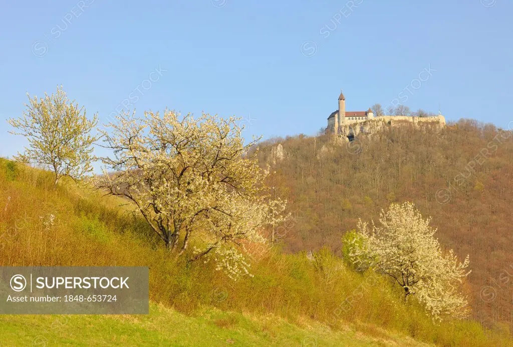 Burg Teck Casle near Kirchheim unter Teck, Baden-Wuerttemberg, Germany, Europe