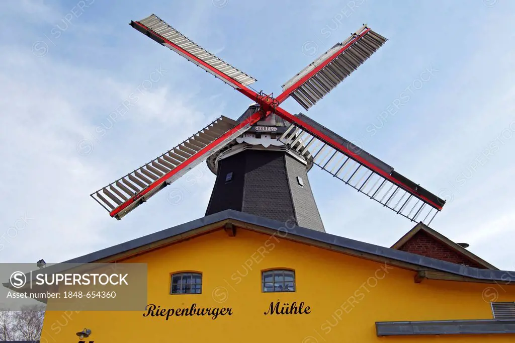 Riepenburger Muehle Boreas windmill in dutch style, Kirchwerder, Vierlande, Vier- und Marschlande, Hamburg, Germany
