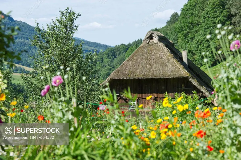 Thatched mill with a cottage garden, Oberprechtal near Elzach, Black Forest, Baden-Wuerttemberg, Germany, Europe