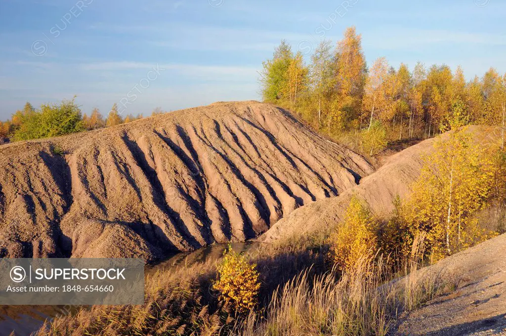 Strip mining reclamation area in autumn, Saxony, Germany, Europe