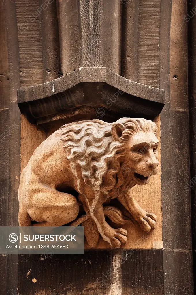 Lion sculpture at the Neues Rathaus new town hall, Weinstrasse, Munich, Bavaria, Germany, Europe