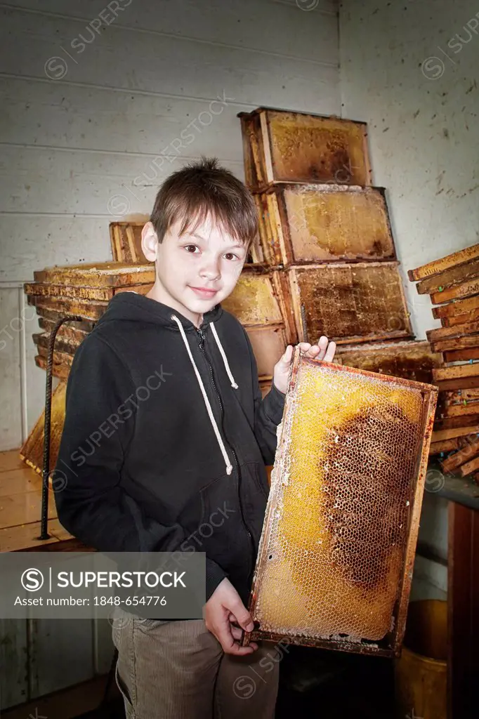 Boy with a honeycomb at a beekeeper's