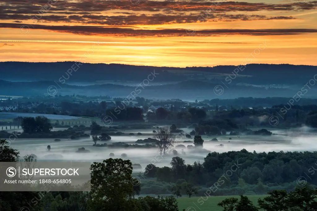 Morning atmosphere with wafts of mist at Radolfzeller Aachried Nature Reserve, Baden-Wuerttemberg, Germany, Europe