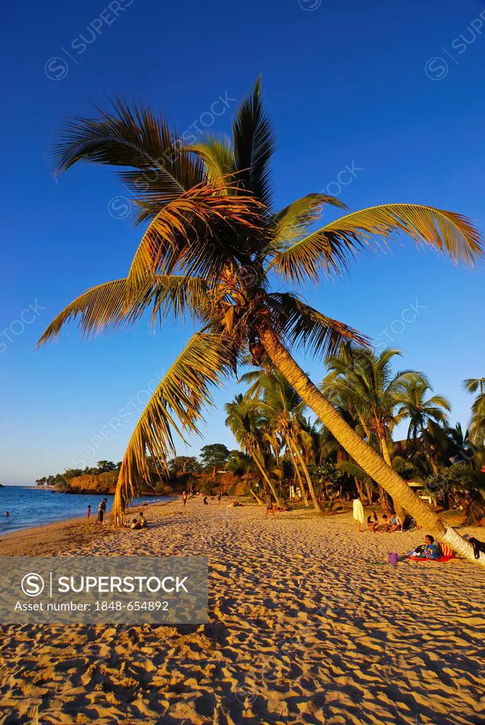 Palm trees on the sandy beach of Nosy Komba, Nosy Be, Madagascar, Africa