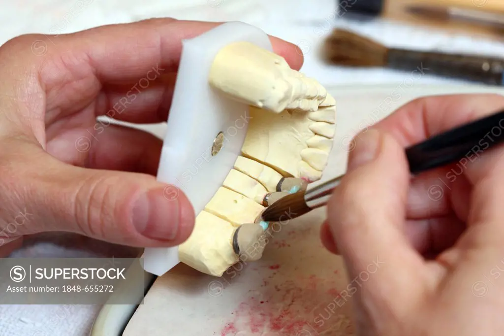 Dental laboratory, manufacture of a dental prostheses by a master craftsman, applying ceramic materials on a dental bridge