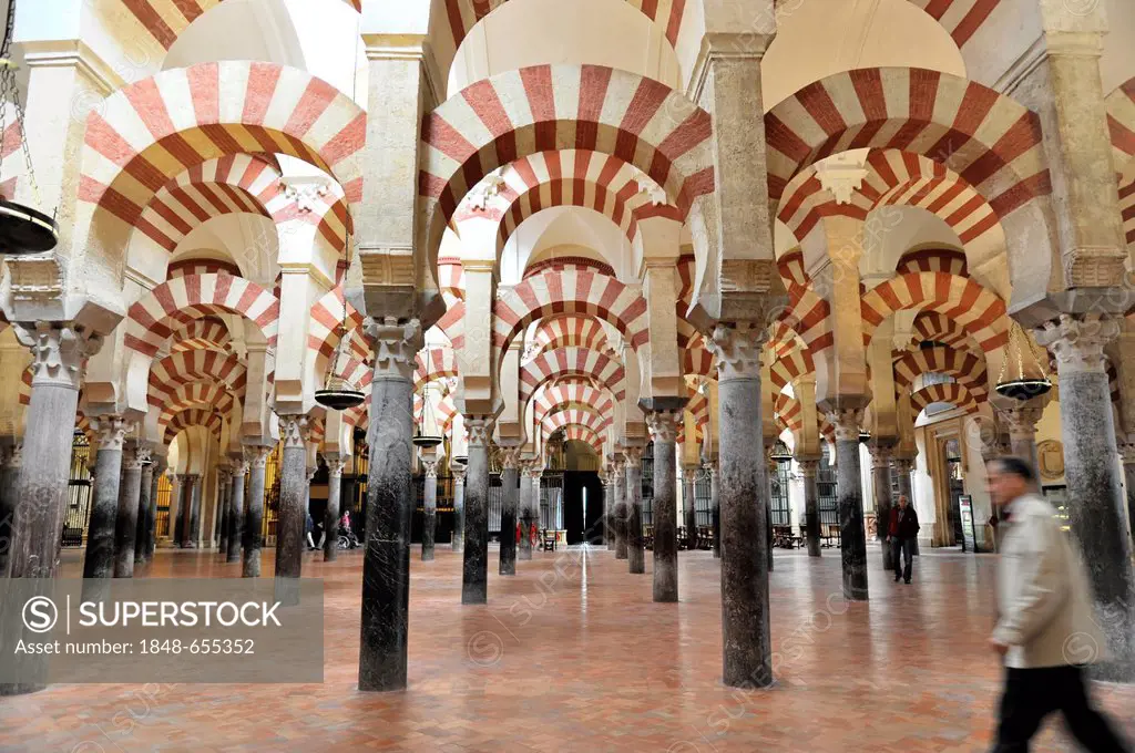 Interior view, columns, Mezquita-Catedral, Cathedral-Mosque of Córdoba, a former mosque, Cordoba, Andalusia, Spain, Europe