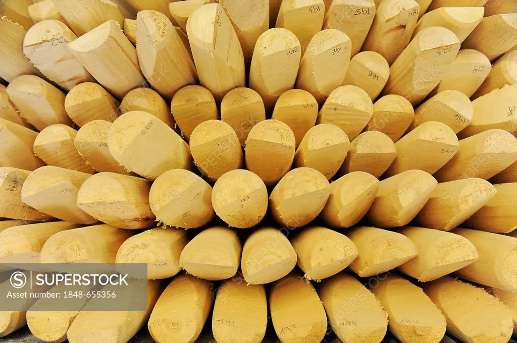 Blanks for mallets, so-called cigars, at a polo factory, Zapala, Pilar, Argentina, South America