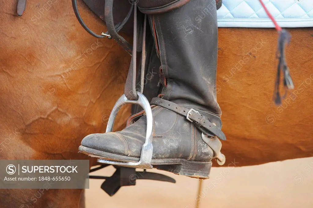 Polo boots with spurs, boot in the stirrup